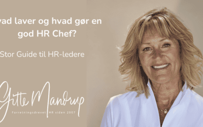 Hvad laver og hvad gør en god HR Chef?